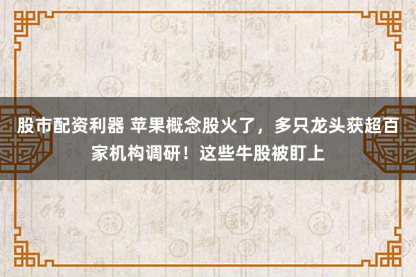 股市配资利器 苹果概念股火了，多只龙头获超百家机构调研！这些牛股被盯上