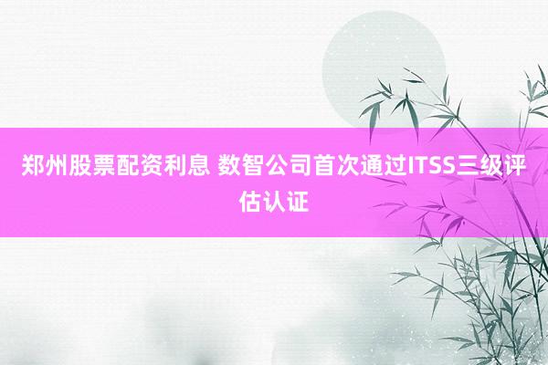郑州股票配资利息 数智公司首次通过ITSS三级评估认证