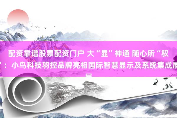 配资靠谱股票配资门户 大“显”神通 随心所“驭”：小鸟科技羽控品牌亮相国际智慧显示及系统集成展