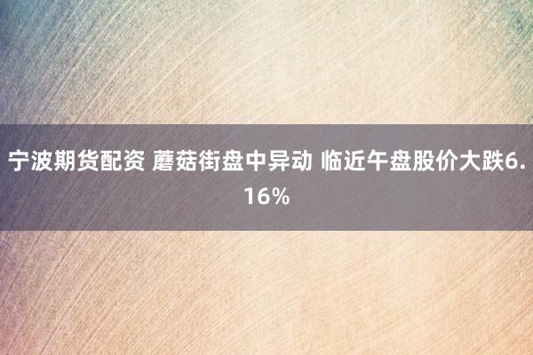 宁波期货配资 蘑菇街盘中异动 临近午盘股价大跌6.16%