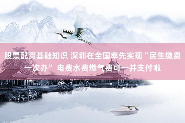 股票配资基础知识 深圳在全国率先实现“民生缴费一次办” 电费水费燃气费可一并支付啦